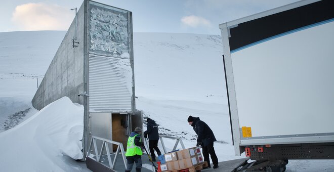 Ghana Genebank Becomes 100th Depositor to Safeguard Food Crops in the Seed Vault
