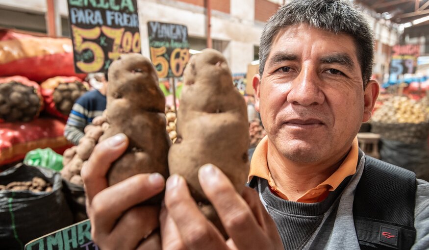 BBC: How Crops Are Being Disaster-proofed