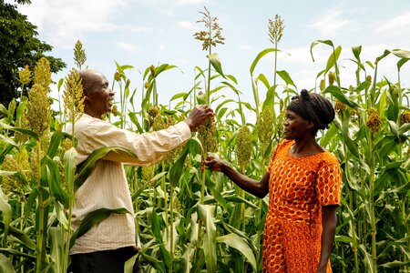SFR_Kenya_2023