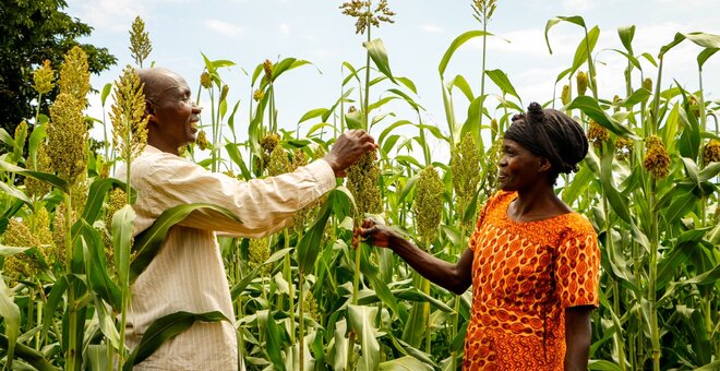 SFR_Kenya_2023