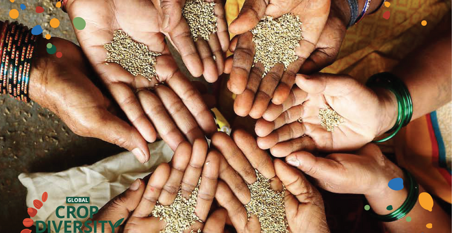 Empowering Seed Banks to Combat the Climate, Biodiversity and Food Crises