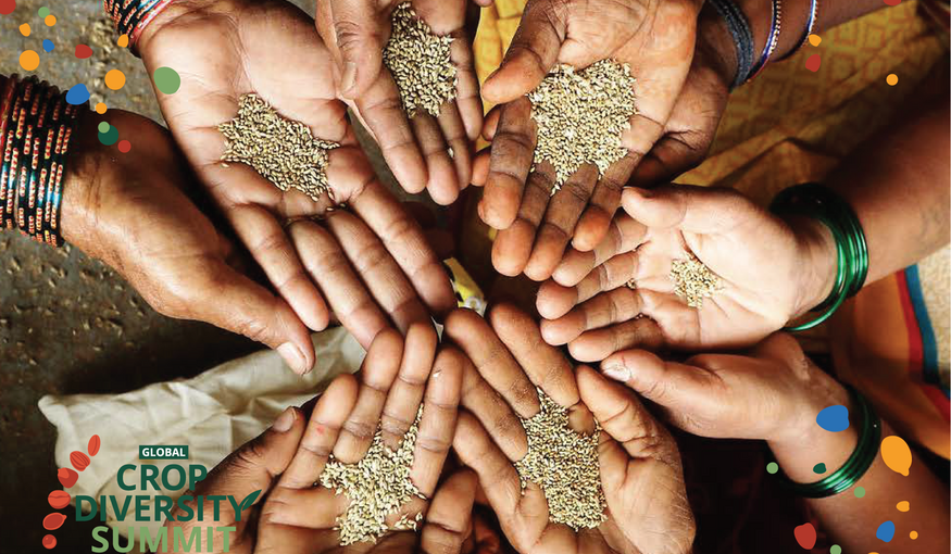 Empowering Seed Banks to Combat the Climate, Biodiversity and Food Crises