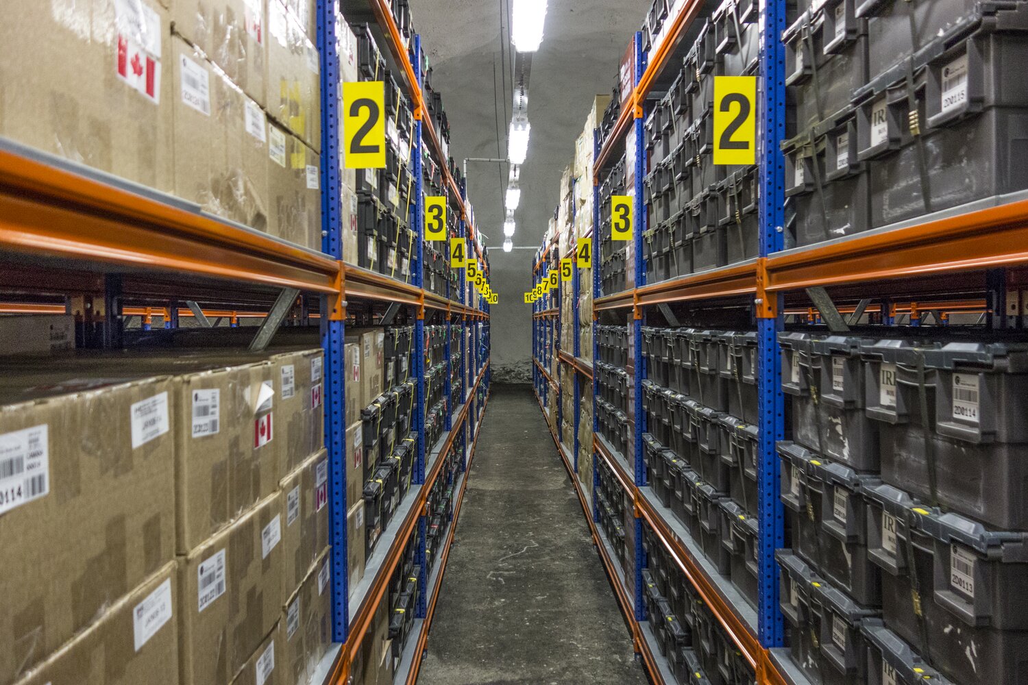 Shelves inside the Svalbard Global Seed Vault stacked with boxes of seeds from around the world, safeguarding the foundation of our foods at -18°C.