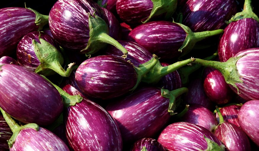 Nature’s Answer to Eggplant Angst