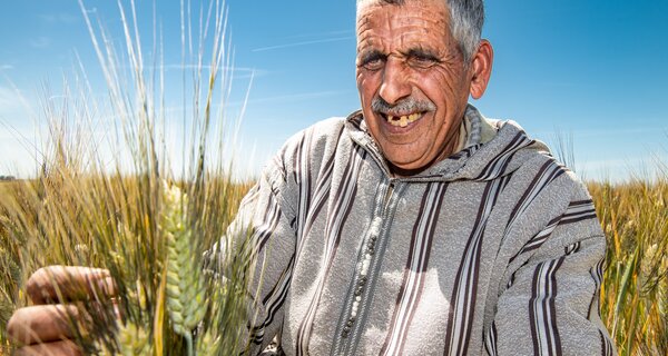 farmer in Morocco