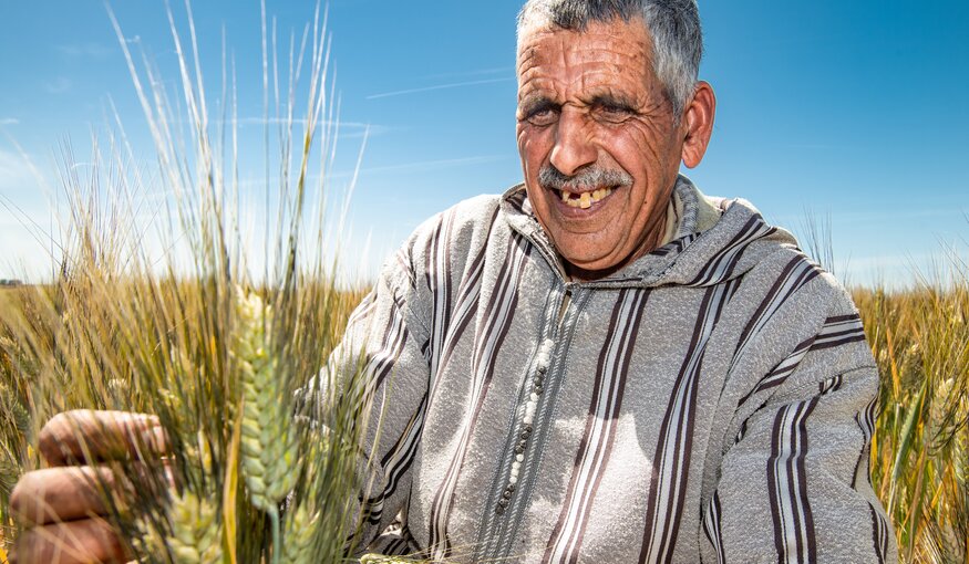 farmer in Morocco