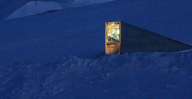 Svalbard at night