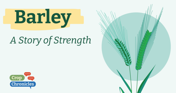 Barley: A Story of Strength
