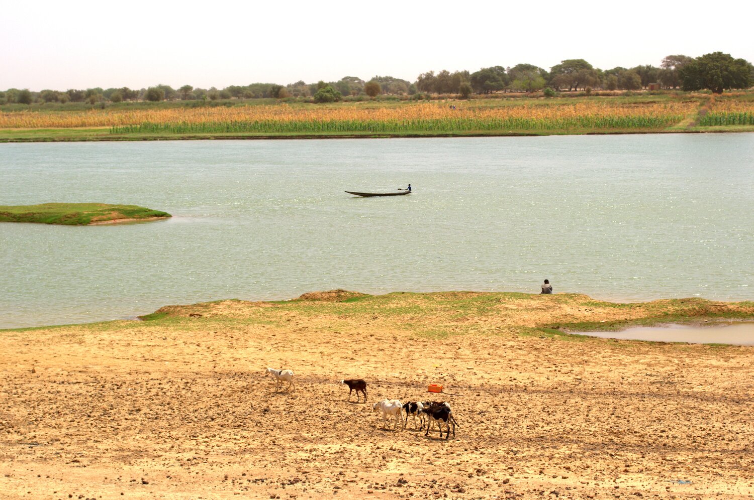 The Senegal River. Photo credit: Filippo M Bassi