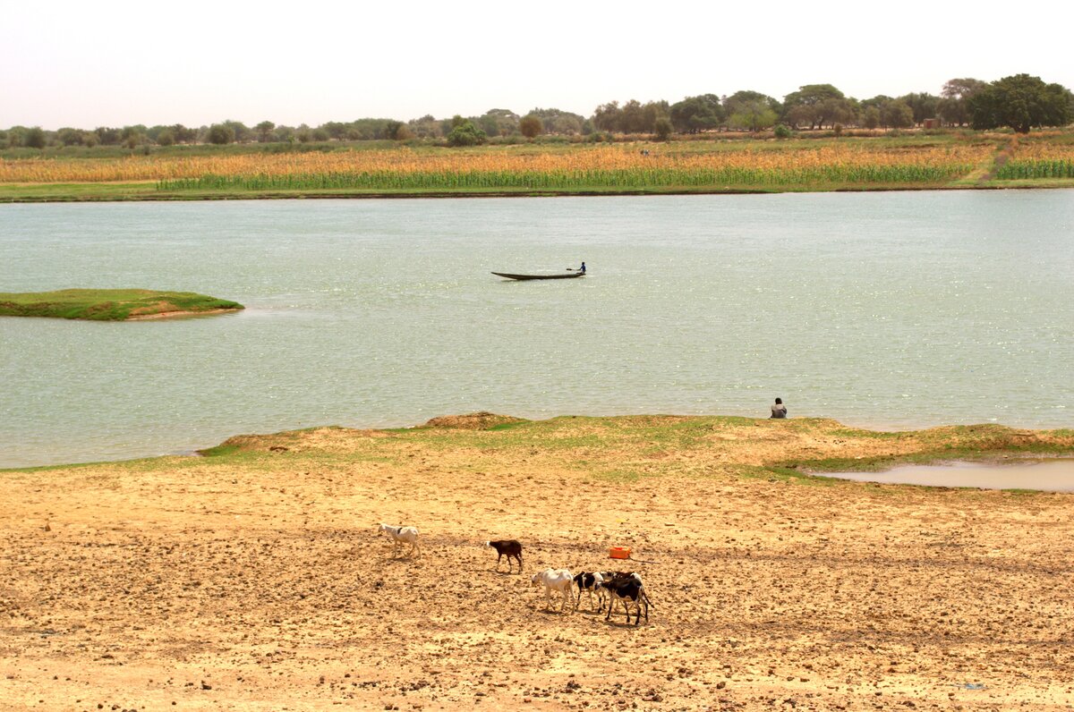The Senegal River. Photo credit: Filippo M Bassi