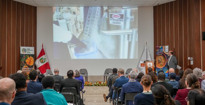 A highlight of Crop Diversity Day 2025 was the first deposit into CIP’s new cryopreservation facility – the Cryo Vault – the first of its kind in South America. Photo: Andres Carvajal/IISD Earth Negotiation Bulletin