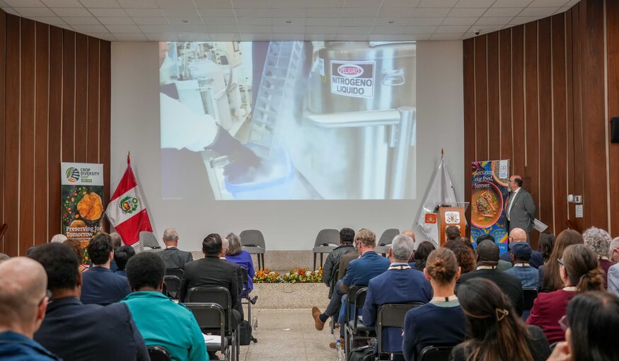 A highlight of Crop Diversity Day 2025 was the first deposit into CIP’s new cryopreservation facility – the Cryo Vault – the first of its kind in South America. Photo: Andres Carvajal/IISD Earth Negotiation Bulletin