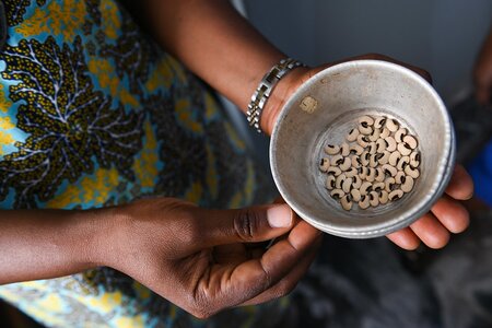 BOLDly Regenerating Crop Diversity in Nigeria