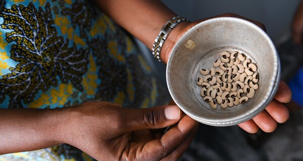 BOLDly Regenerating Crop Diversity in Nigeria
