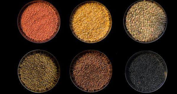 six bowls full of lentil varieties of different colors
