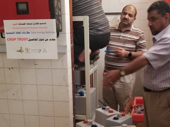 Yemen National Genebank installs supplies.