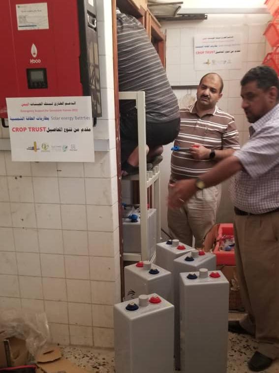 Yemen National Genebank installs supplies.