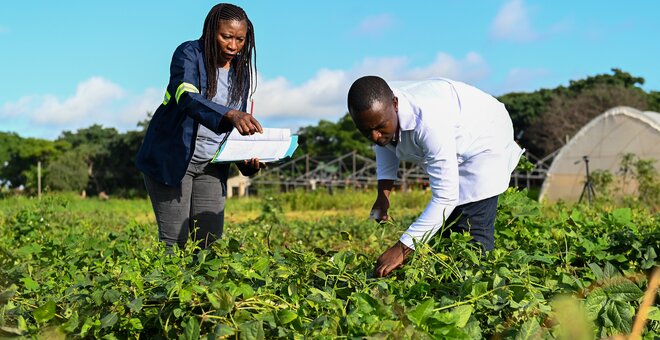 African Genebanks Show the Way to the Future of Food Security