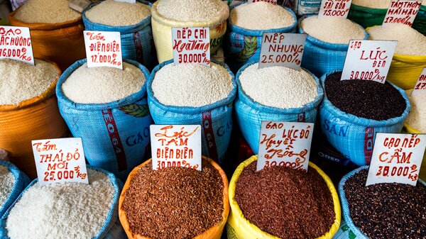 Sacks of rice varieties