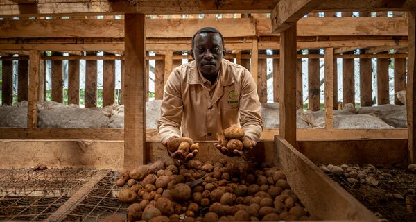 The Risk of One Potato: Shangi and the Challenge of Diversity in Kenya