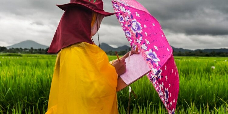 Drought resistance rice sampling at the International Rice Research Institute IRRI in the Philippines. Photo: Brent Stirton/Getty Images.