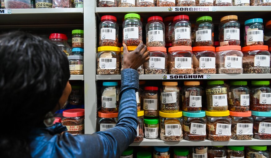 Woman pulling seed containers off the shelf.