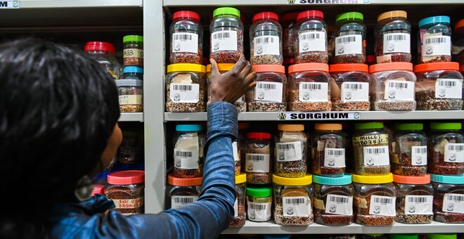 Woman pulling seed containers off the shelf.