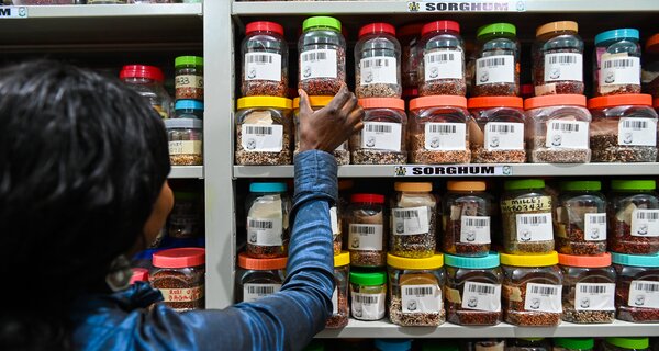 Woman pulling seed containers off the shelf.