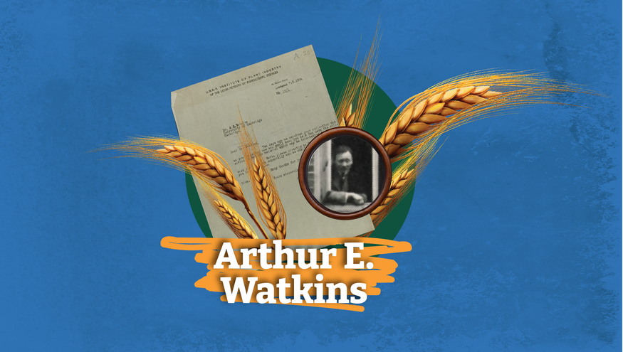 Arthur E. Watkins: The Wheat Collector Who Saved Diversity for the Future