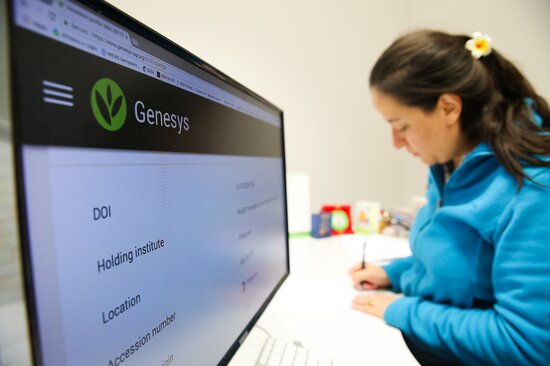 Researcher with Genesys website on computer screen