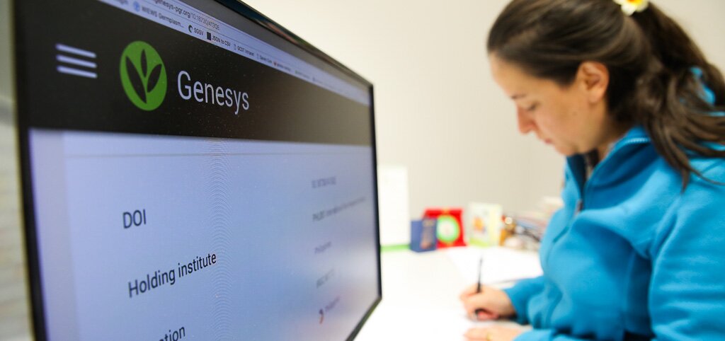 Researcher with Genesys website on computer screen