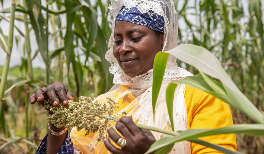 A ‘Revolutionary’ Way to Feed the World That’s Very Old