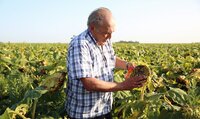 Farmer in field in Argentina