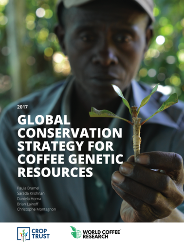 A Global Strategy for the Conservation and Use of Coffee Genetic Resources