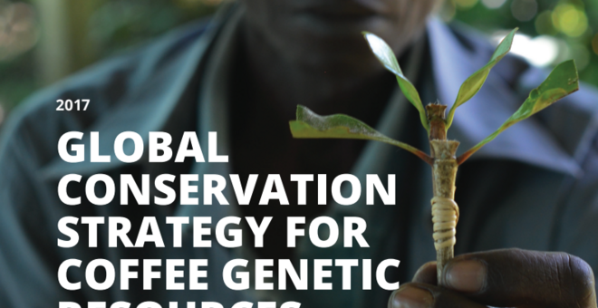 A Global Strategy for the Conservation and Use of Coffee Genetic Resources