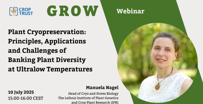 Plant Cryopreservation: Principles, Applications and Challenges of Banking Plant Diversity at Ultralow Temperatures