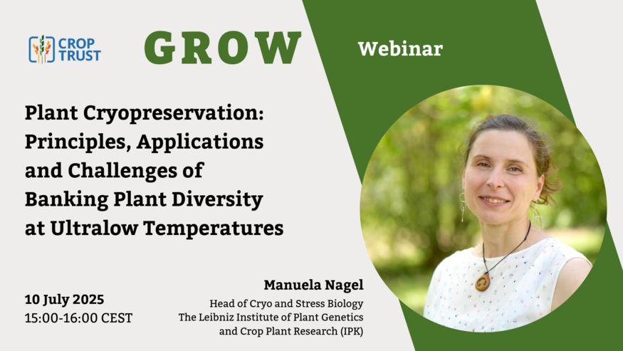 Plant Cryopreservation: Principles, Applications and Challenges of Banking Plant Diversity at Ultralow Temperatures