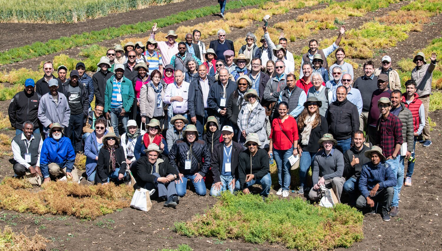 Participants of the workshop visited the Marchouch station to see ICARDA's CWR-derived material in the field. Photo: Michael Major/Crop Trust