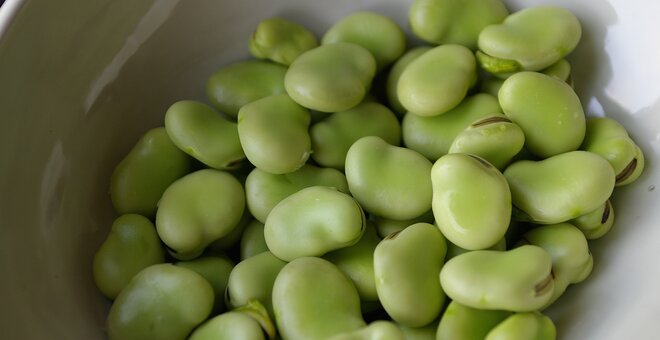 Rich Soil With a Side of Beans