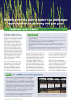 Genebank Impacts Brief No. 2