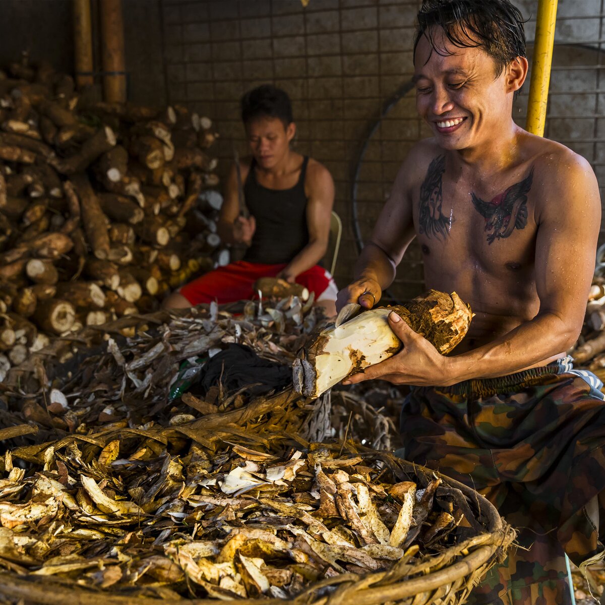 Cassava farmer peeling cassava roots