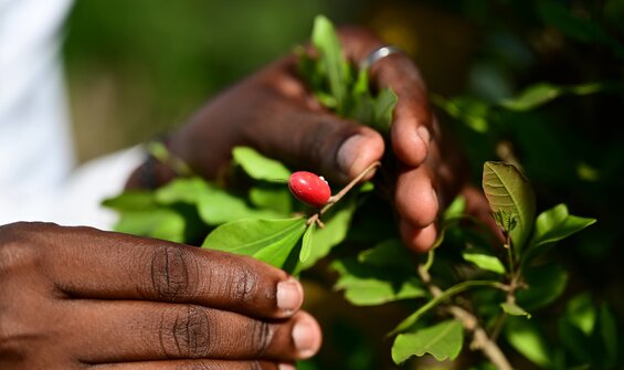 Power of Diversity Funding Facility