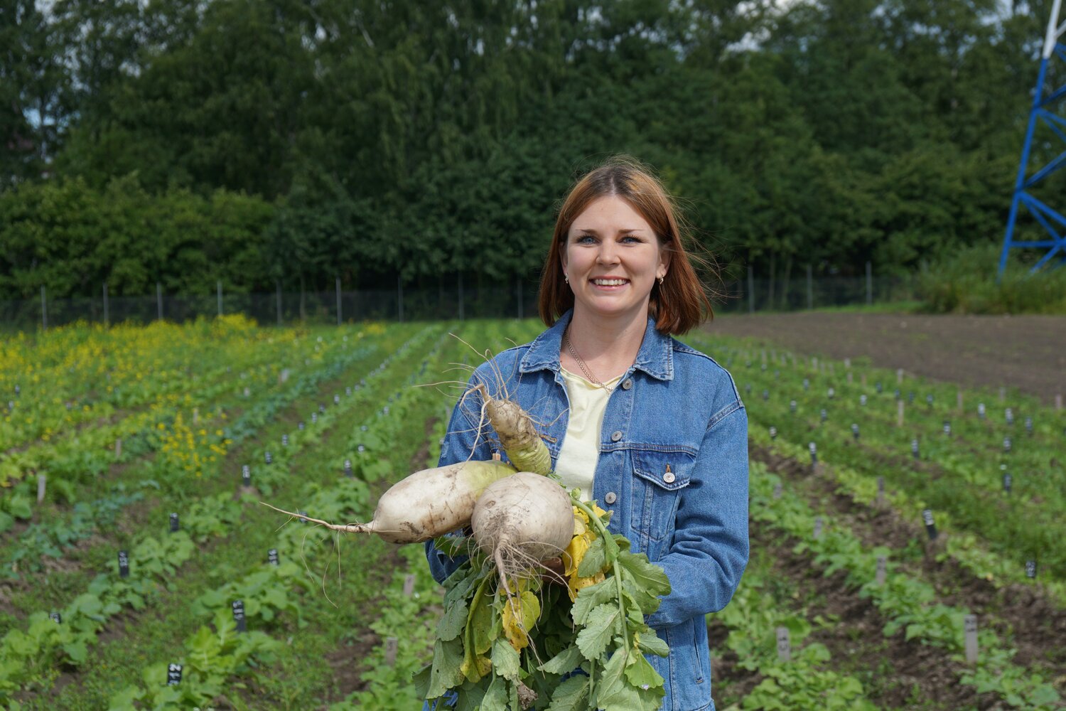 VIR PhD student, Anastasia Kurina, with plants from VIR radish collection.