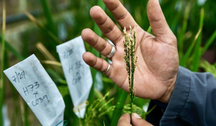 Crop Trust Data Protection Policy