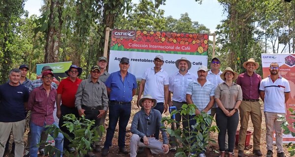 In the framework of the celebration of World Coffee Day, CATIE inaugurates an area in its La Montaña farm as the new space that will safeguard the genetic resources of coffee, reaffirming the commitment to long-term preservation for the benefit of world coffee growing.