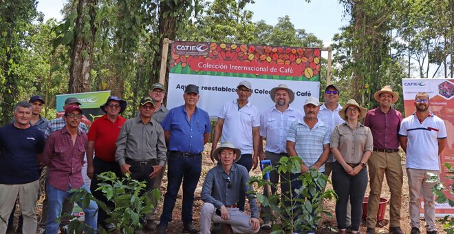 In the framework of the celebration of World Coffee Day, CATIE inaugurates an area in its La Montaña farm as the new space that will safeguard the genetic resources of coffee, reaffirming the commitment to long-term preservation for the benefit of world coffee growing.