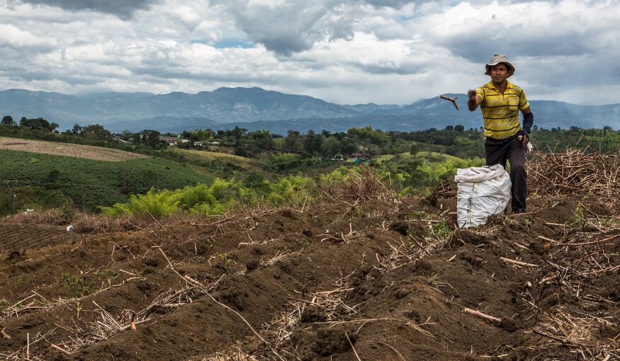 Crop Diversity: A Climate Change Solution
