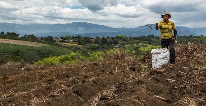 Crop Diversity: A Climate Change Solution