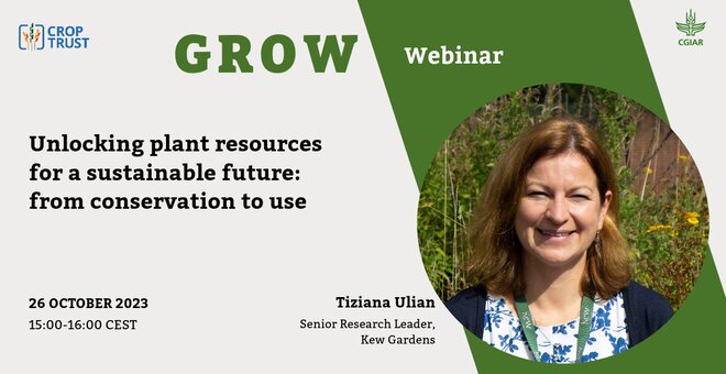 GROW Tiziana Ulian