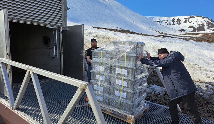 Boxes moved into Svalbard Global Seed Vault by NordGen Staff.